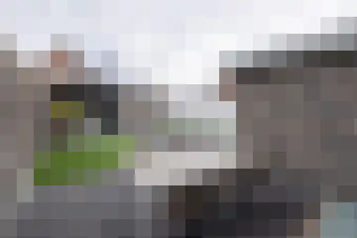Van Zuijlen van Nieveltlaan 3 Barneveld thumbnail 45