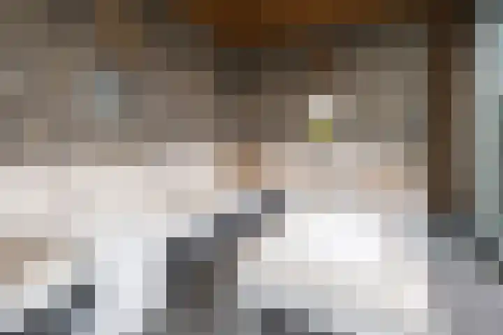 Van Zuijlen van Nieveltlaan 3 Barneveld thumbnail 47