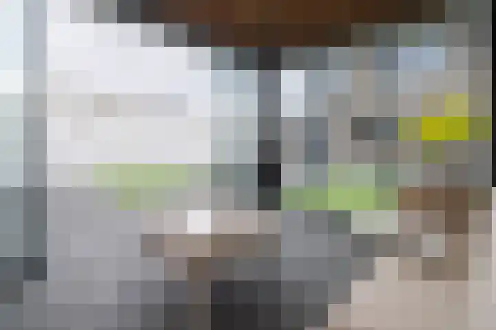Van Zuijlen van Nieveltlaan 3 Barneveld thumbnail 48
