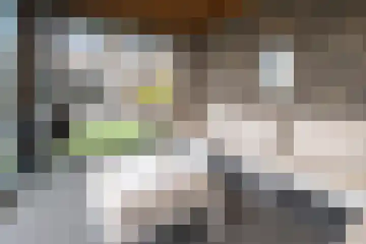 Van Zuijlen van Nieveltlaan 3 Barneveld thumbnail 49