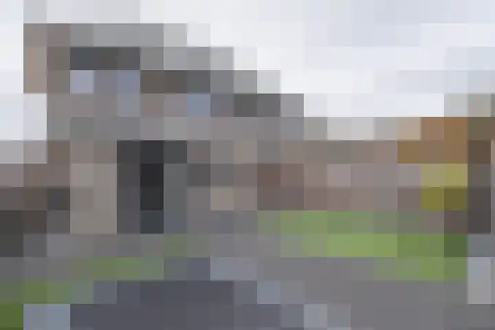 Van Zuijlen van Nieveltlaan 3 Barneveld thumbnail 51