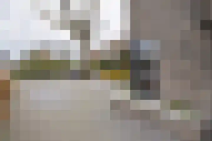 Van Zuijlen van Nieveltlaan 3 Barneveld thumbnail 54