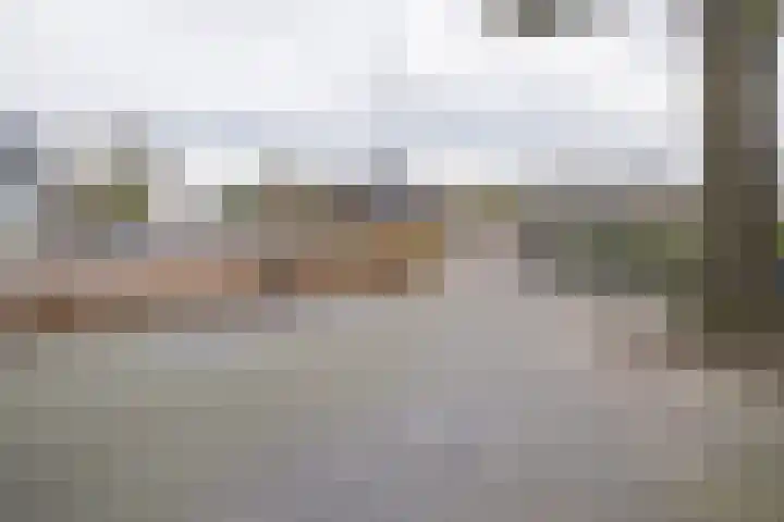 Van Zuijlen van Nieveltlaan 3 Barneveld thumbnail 55