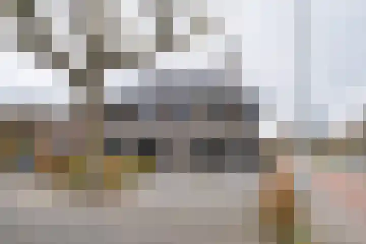 Van Zuijlen van Nieveltlaan 3 Barneveld thumbnail 56
