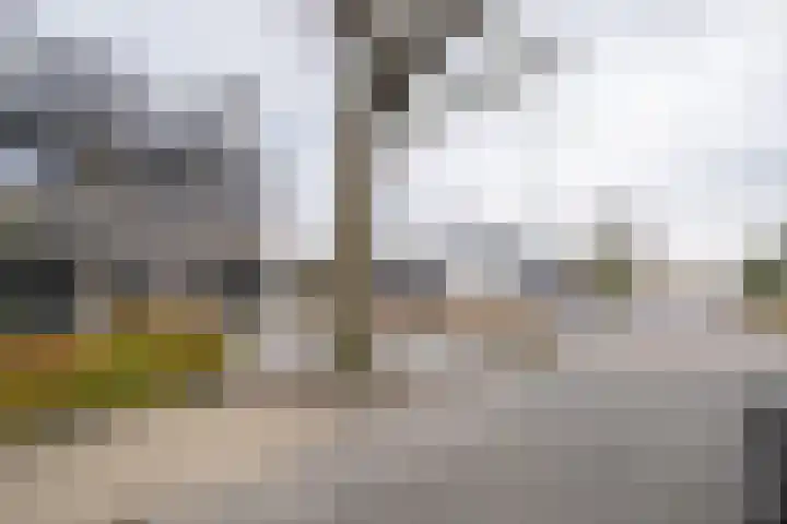 Van Zuijlen van Nieveltlaan 3 Barneveld thumbnail 57