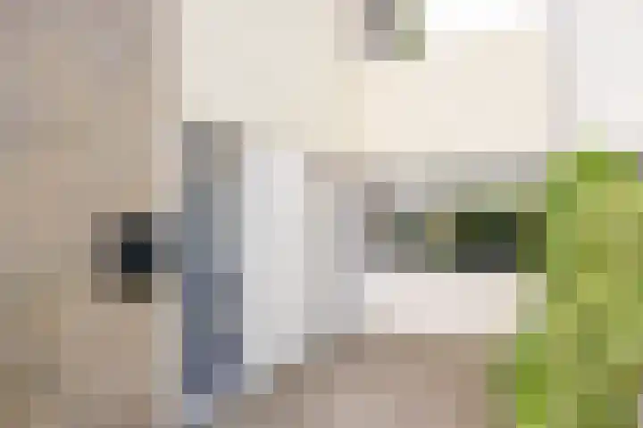 Van Zuijlenstraat 77 Nijkerk thumbnail 29