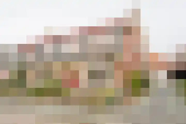 Van Zuilenlaan 12 Hooglanderveen