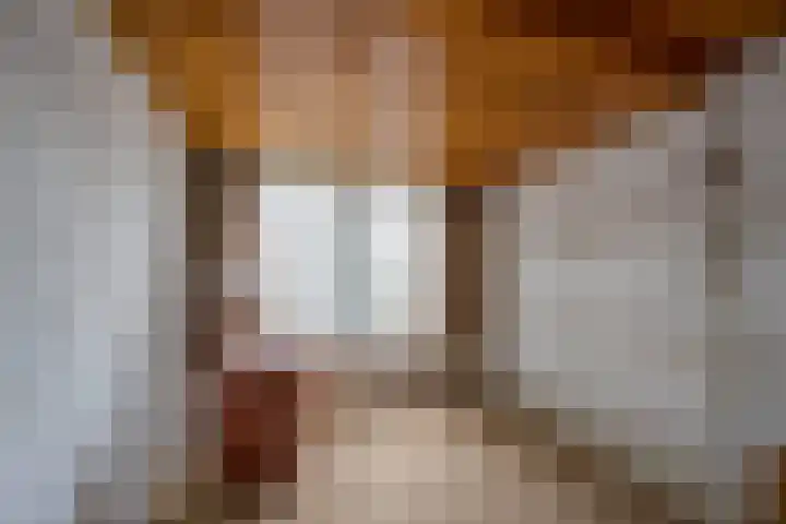 Van Zuilenlaan 12 Hooglanderveen thumbnail 15