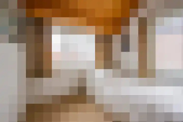 Van Zuilenlaan 12 Hooglanderveen thumbnail 17