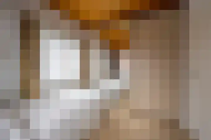 Van Zuilenlaan 12 Hooglanderveen thumbnail 18