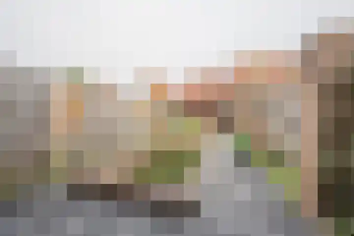 Van Zuilenlaan 12 Hooglanderveen thumbnail 25