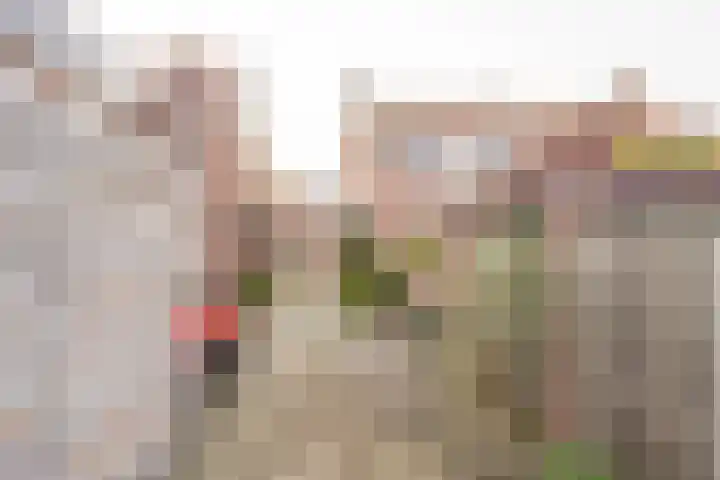 Van Zuilenlaan 12 Hooglanderveen thumbnail 29