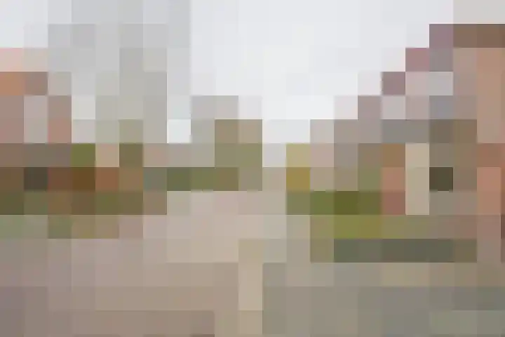Van Zuilenlaan 12 Hooglanderveen thumbnail 34
