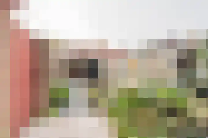 Van Zuilenlaan 12 Hooglanderveen thumbnail 4