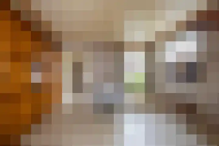 Van Zuilenlaan 12 Hooglanderveen thumbnail 8