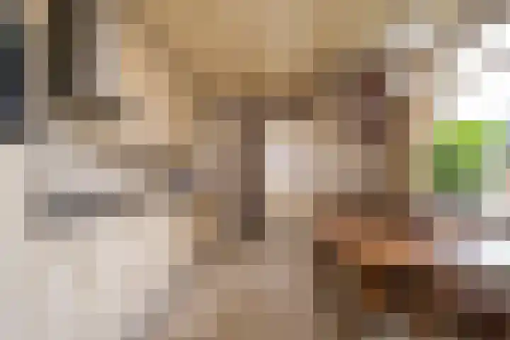 Van Zuilenlaan 12 Hooglanderveen thumbnail 9