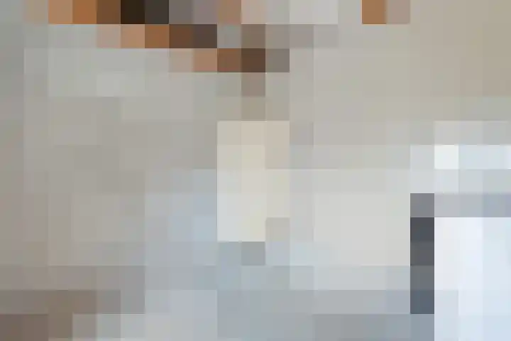 Van Zuilenlaan 2 Hooglanderveen thumbnail 33