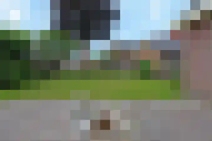 Van Zuilenlaan 2 Hooglanderveen thumbnail 34