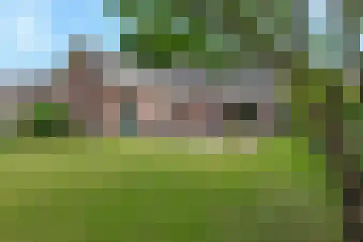 Van Zuilenlaan 2 Hooglanderveen thumbnail 8