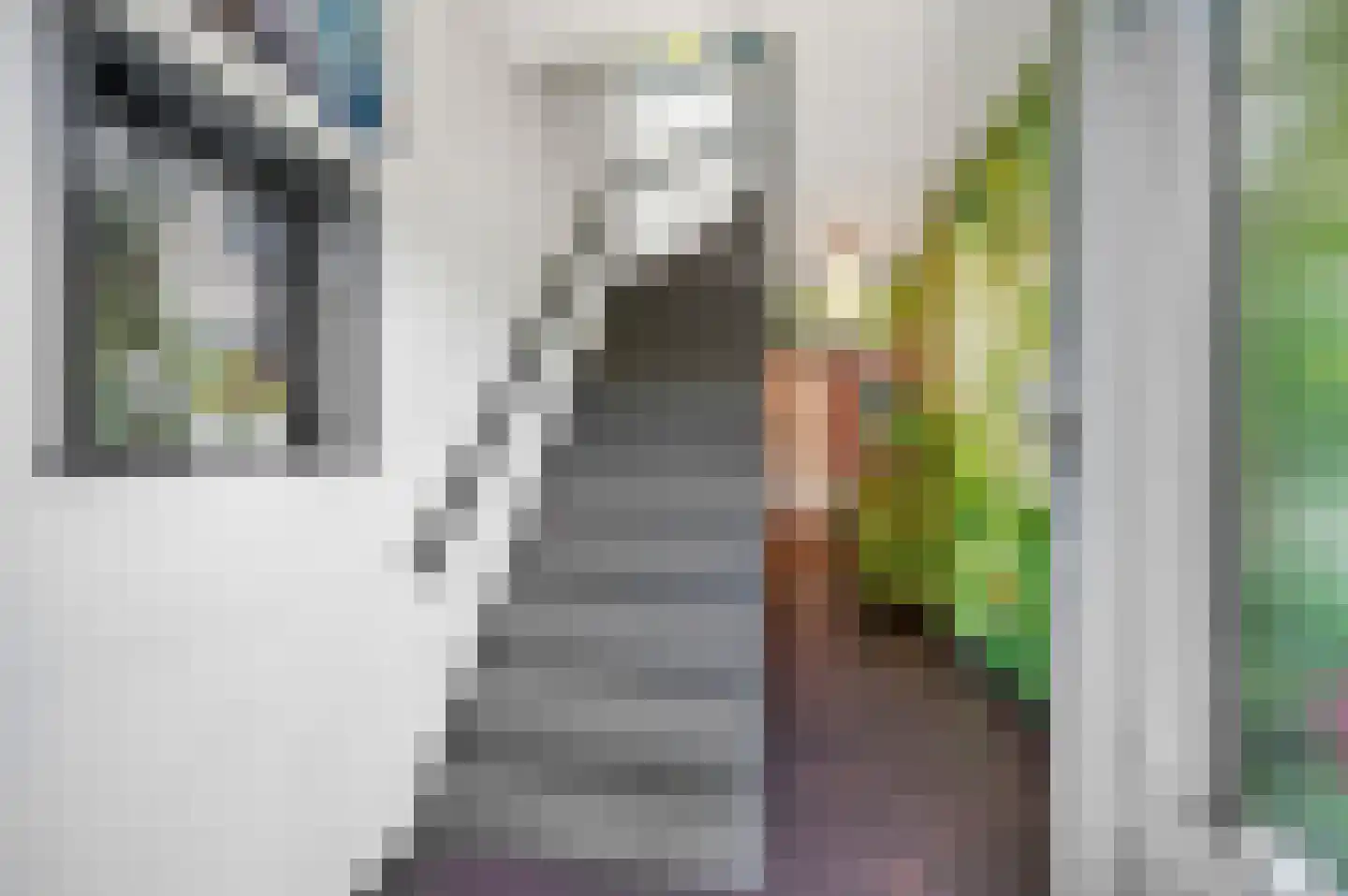Van Zuylen van Nijeveltstraat 12 Wassenaar thumbnail 5