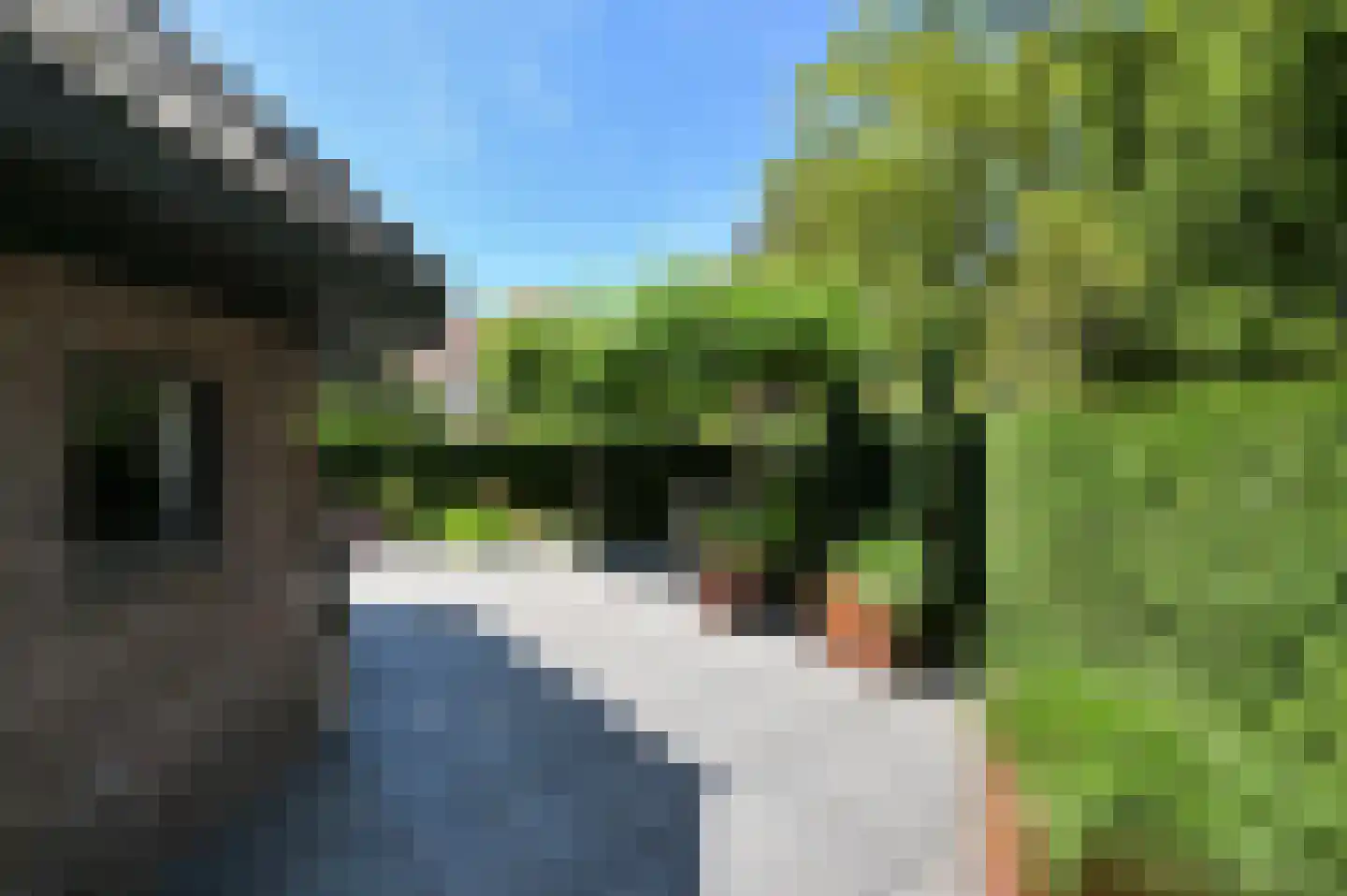 Van Zuylen van Nijeveltstraat 12 Wassenaar thumbnail 50