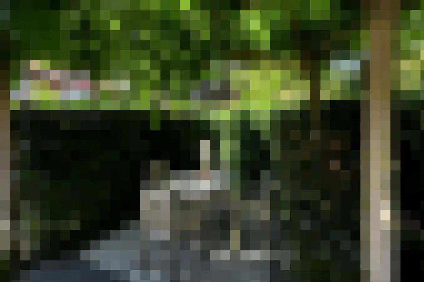Van Zuylen van Nijeveltstraat 12 Wassenaar thumbnail 52