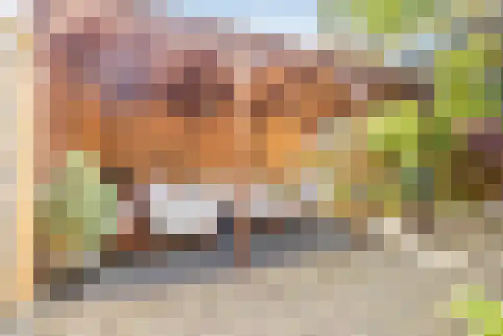 Van Zuylen van Nijeveltstraat 120 Wassenaar thumbnail 4
