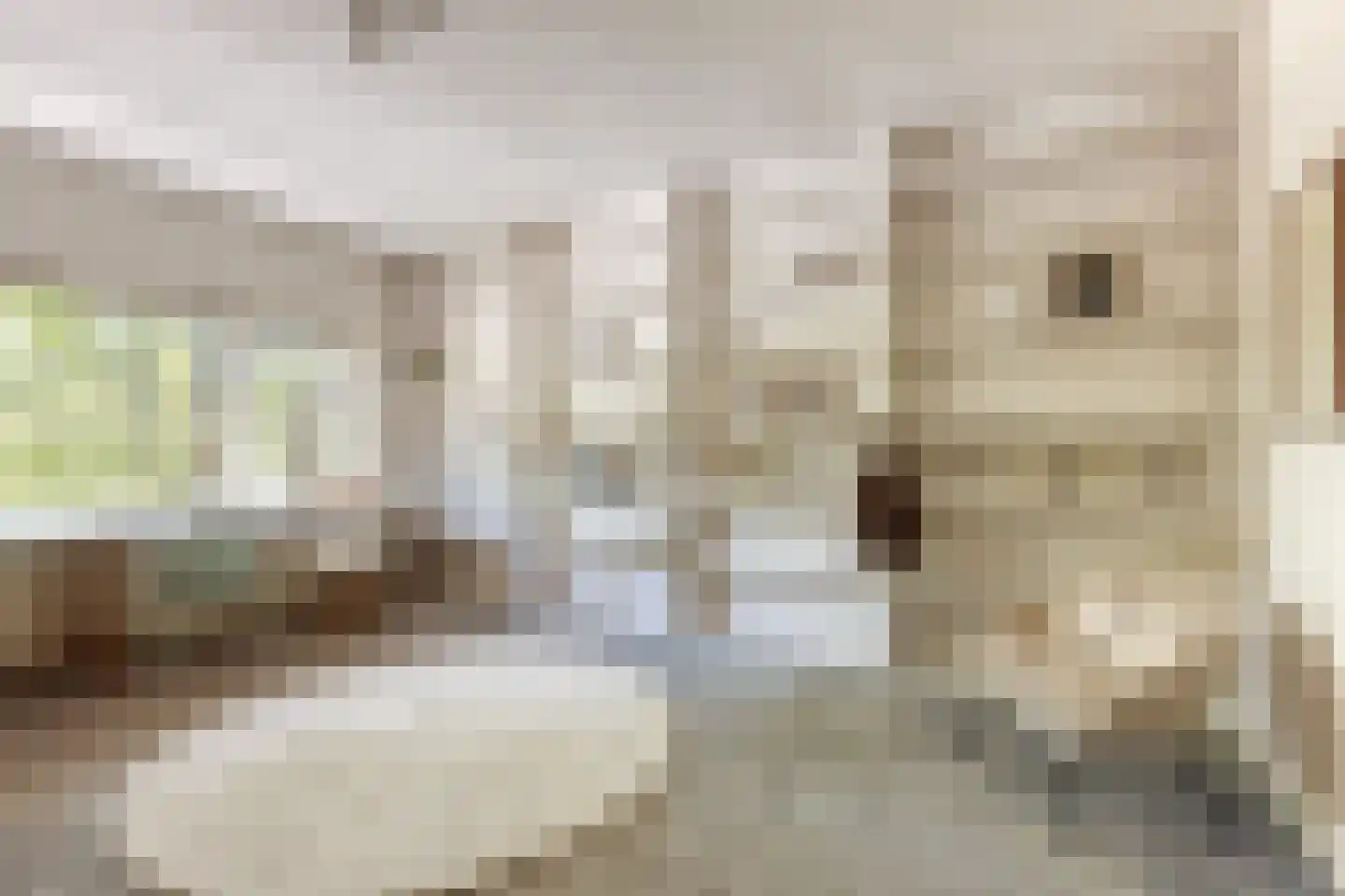 Van Zuylen van Nijeveltstraat 122 Wassenaar thumbnail 18