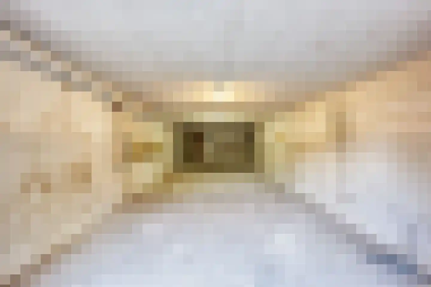 Van Zuylen van Nijeveltstraat 122 Wassenaar thumbnail 42
