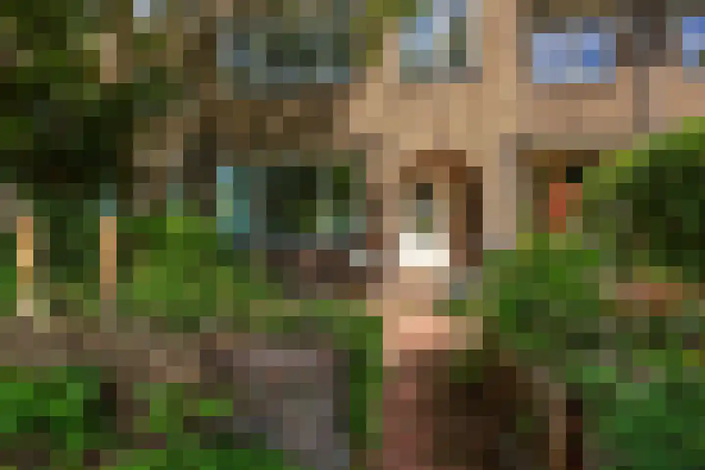 Van Zuylen van Nijeveltstraat 122 Wassenaar thumbnail 44