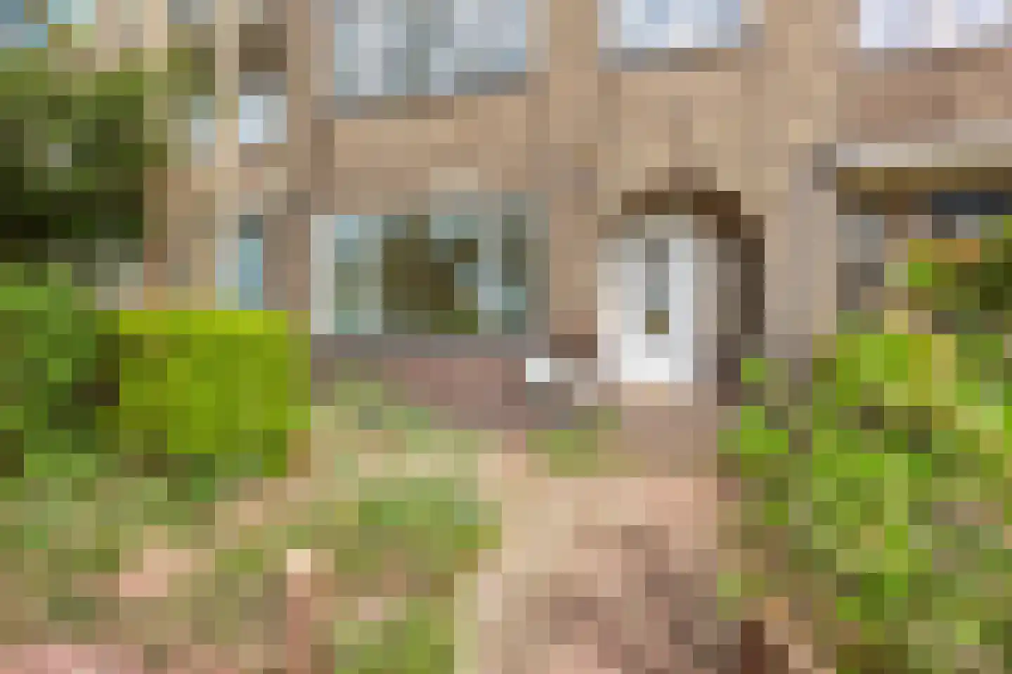 Van Zuylen van Nijeveltstraat 122 Wassenaar thumbnail 44