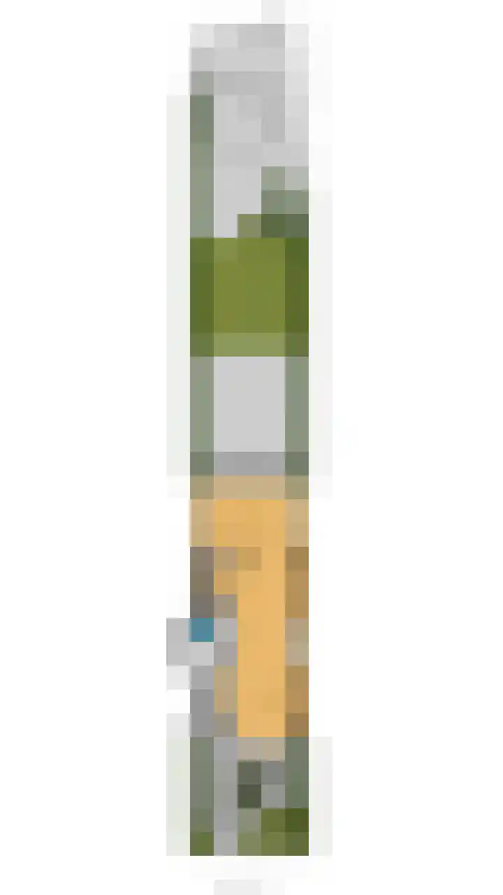 Van Zuylen van Nijeveltstraat 135 Wassenaar thumbnail 44
