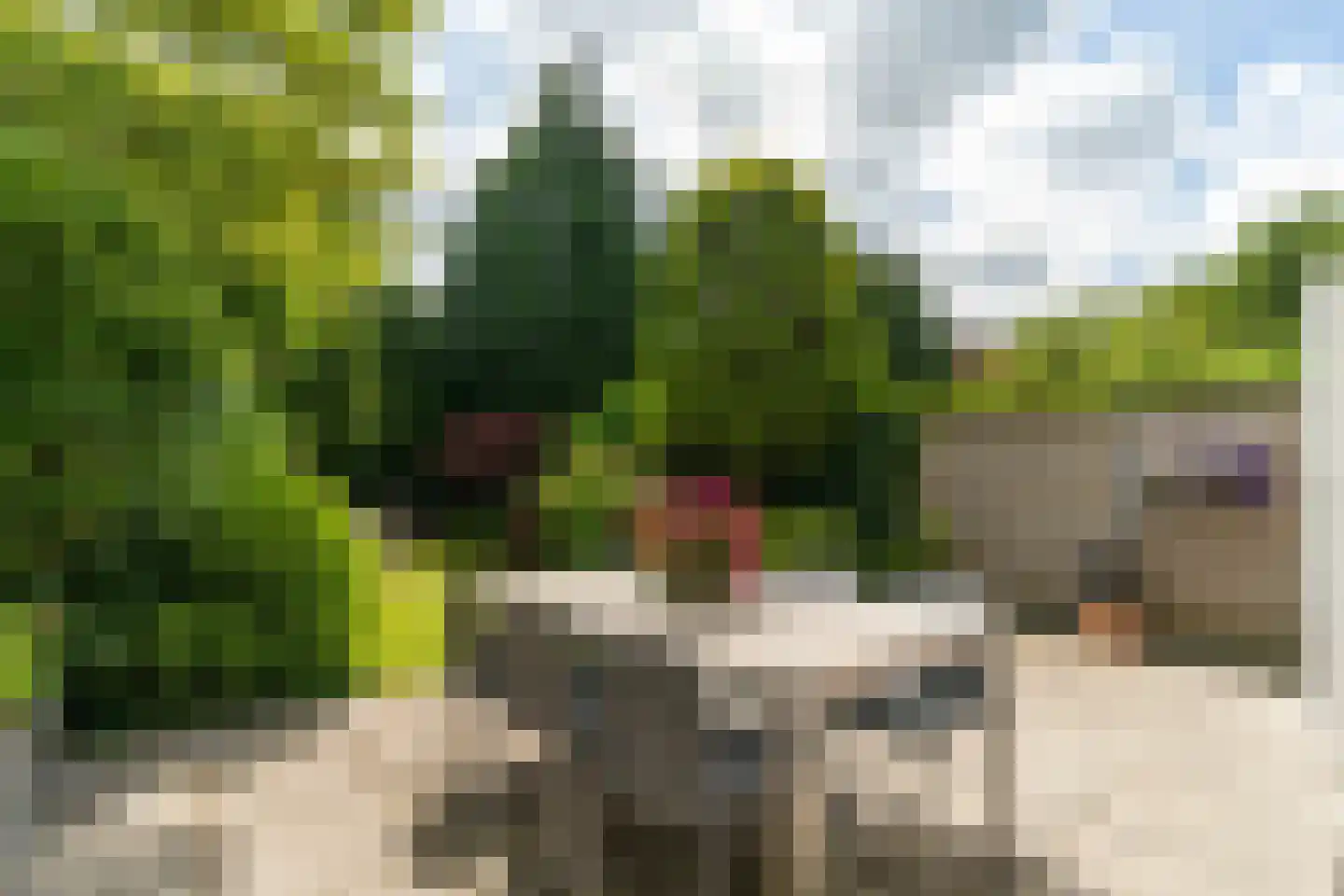 Van Zuylen van Nijeveltstraat 16 Wassenaar thumbnail 12