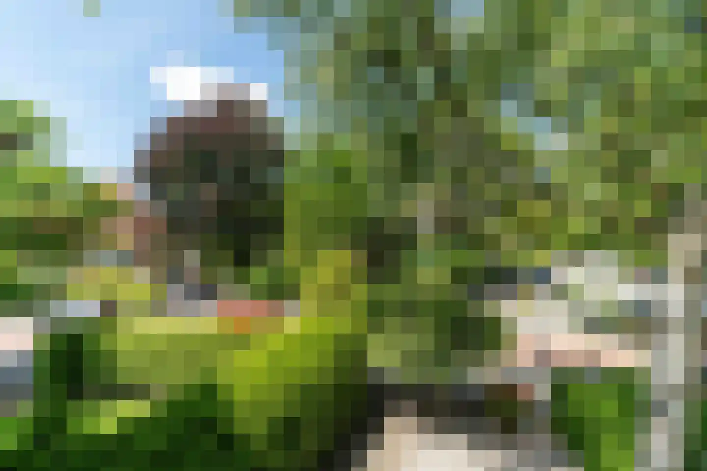 Van Zuylen van Nijeveltstraat 16 Wassenaar thumbnail 17