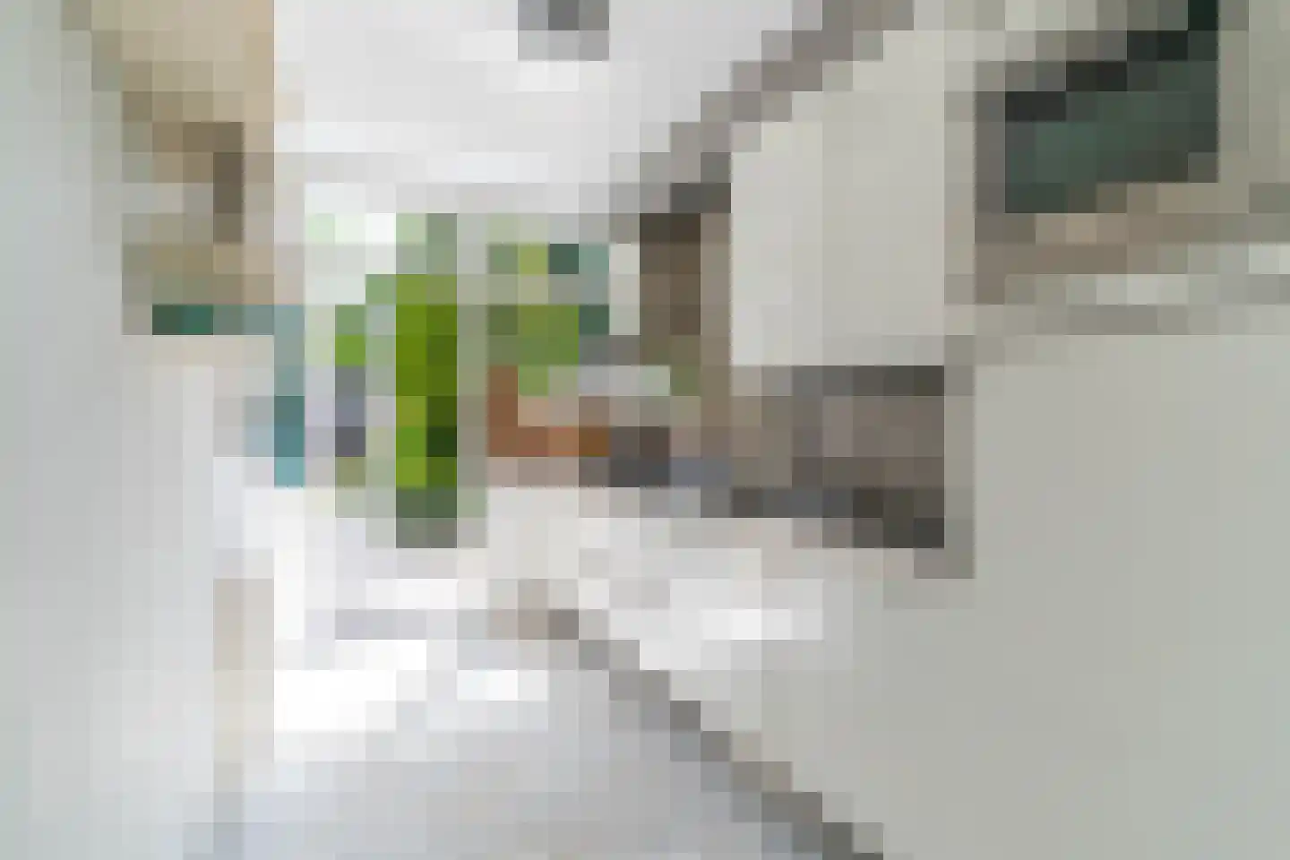 Van Zuylen van Nijeveltstraat 16 Wassenaar thumbnail 9