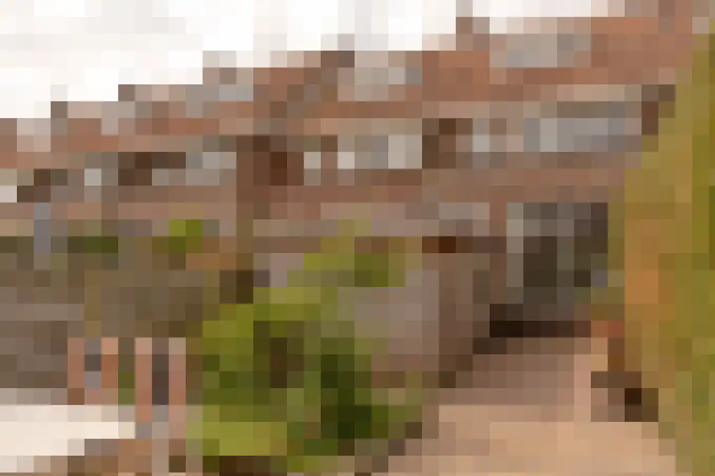 Van Zuylen van Nijeveltstraat 160 Wassenaar thumbnail 19