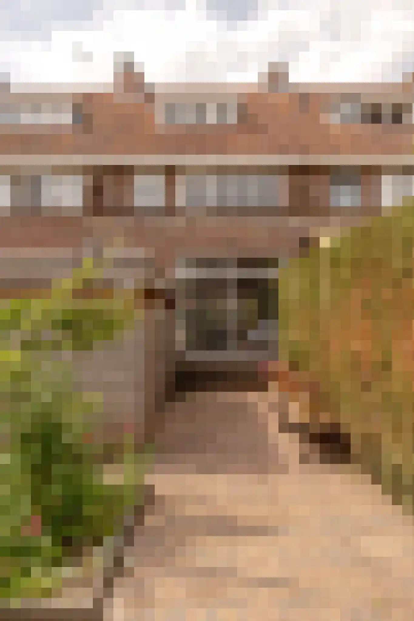 Van Zuylen van Nijeveltstraat 160 Wassenaar thumbnail 20