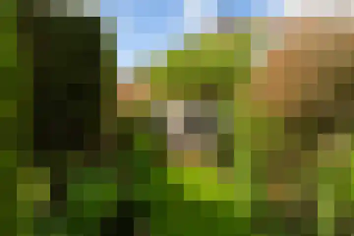 Van Zuylen van Nijeveltstraat 20 Wassenaar thumbnail 10