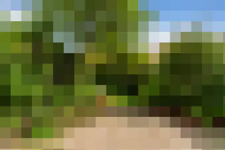 Van Zuylen van Nijeveltstraat 20 Wassenaar thumbnail 9