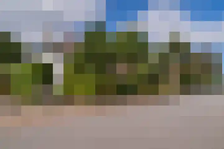 Van Zuylen van Nijeveltstraat 23 Wassenaar thumbnail 4