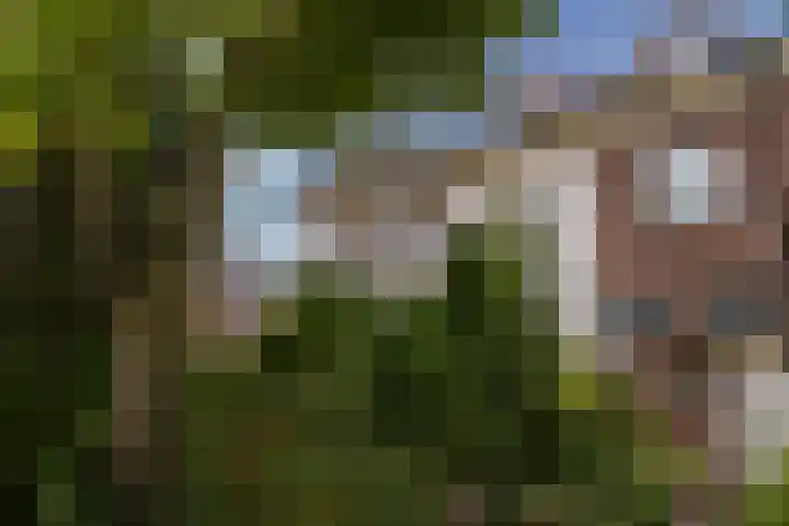 Van Zuylen van Nijeveltstraat 23 Wassenaar thumbnail 5