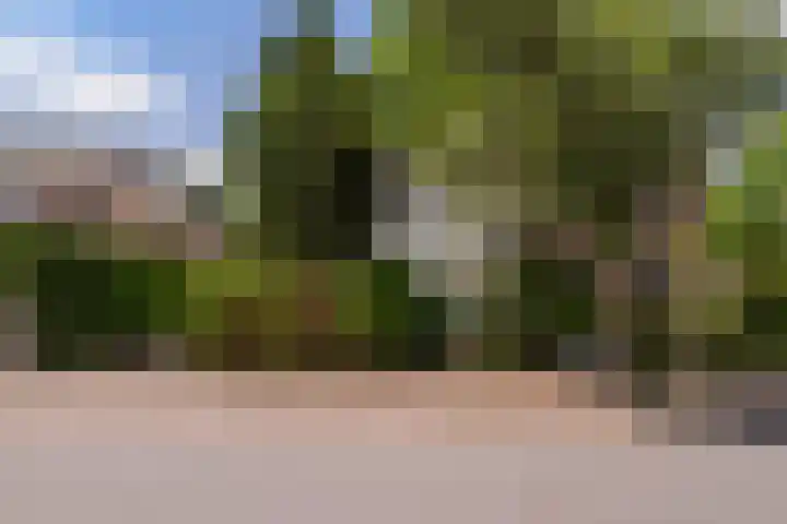 Van Zuylen van Nijeveltstraat 23 Wassenaar thumbnail 7