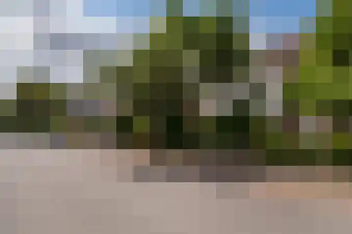 Van Zuylen van Nijeveltstraat 23 Wassenaar thumbnail 8