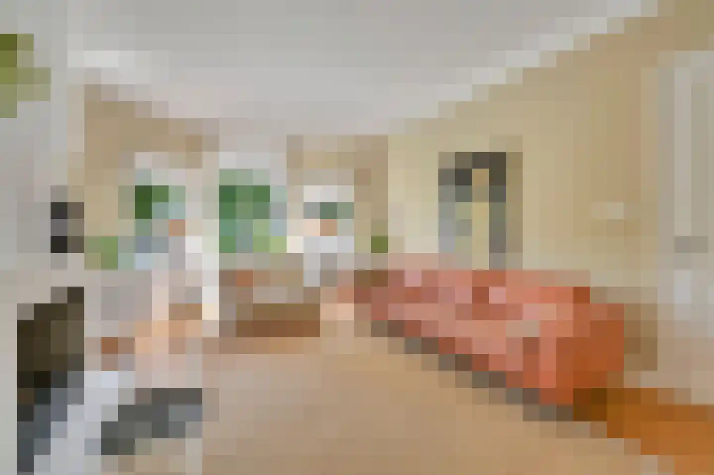 Van Zuylen van Nijeveltstraat 25 Wassenaar thumbnail 18