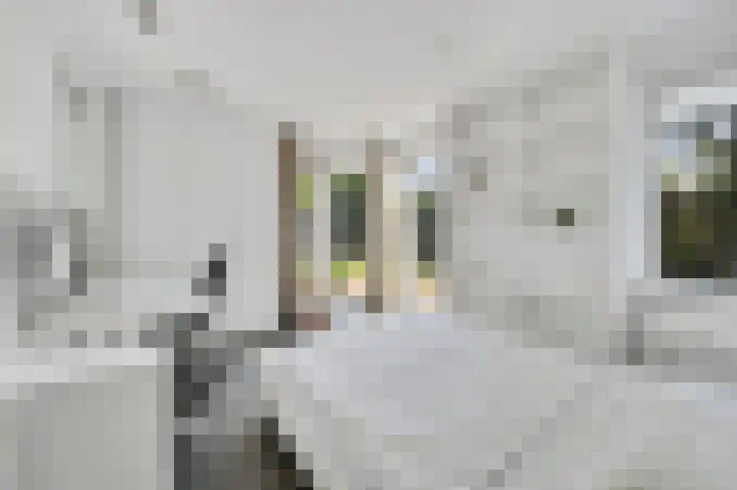 Van Zuylen van Nijeveltstraat 25 Wassenaar thumbnail 5