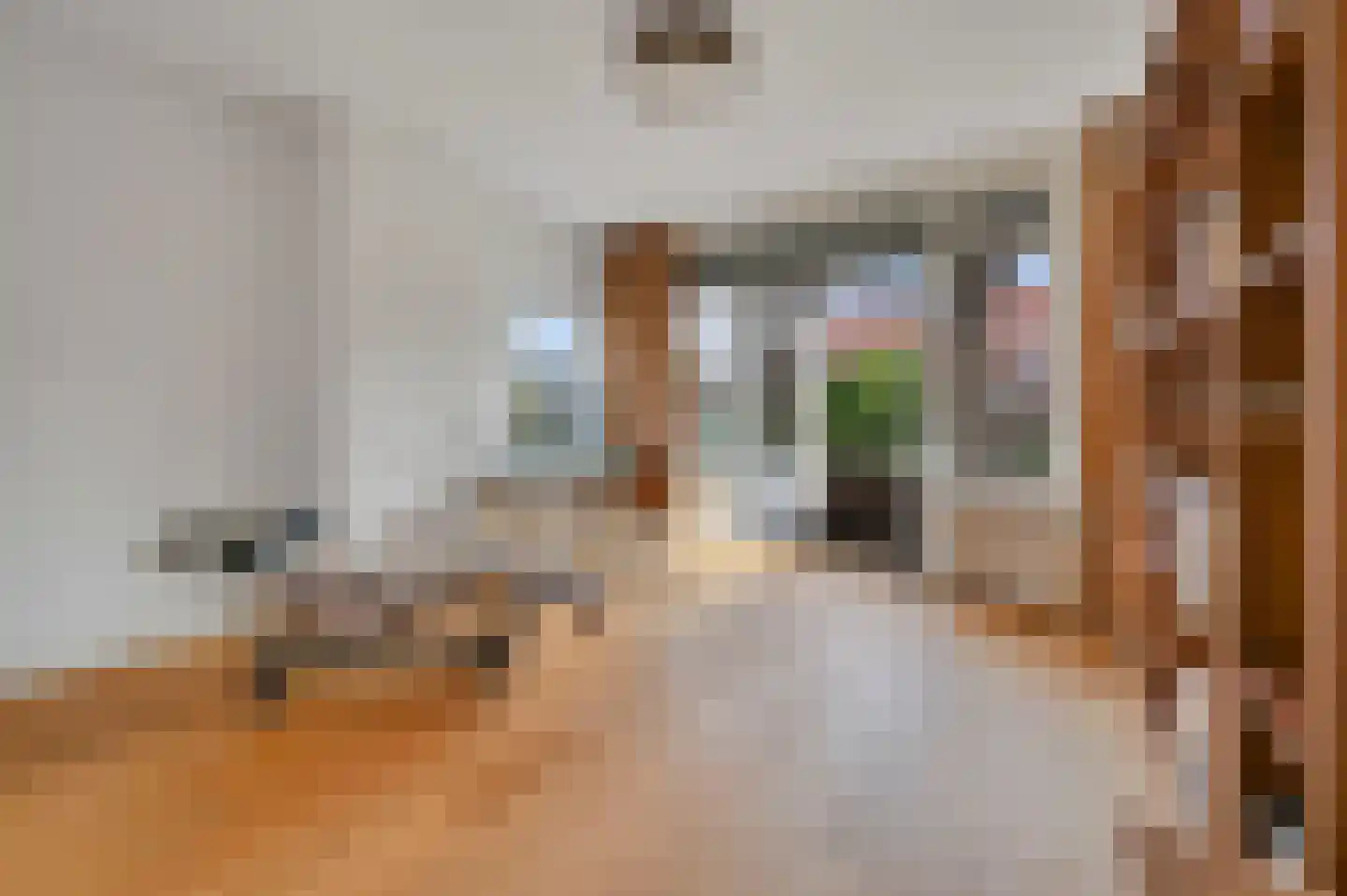 Van Zuylen van Nijeveltstraat 25 Wassenaar thumbnail 51