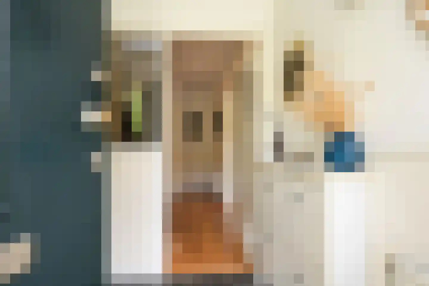 Van Zuylen van Nijeveltstraat 34 Wassenaar thumbnail 4