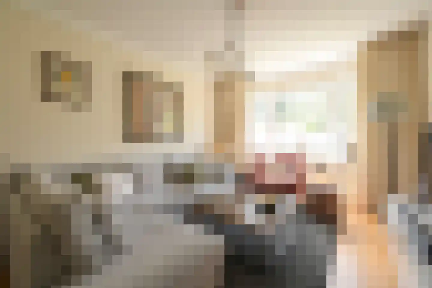 Van Zuylen van Nijeveltstraat 34 Wassenaar thumbnail 5