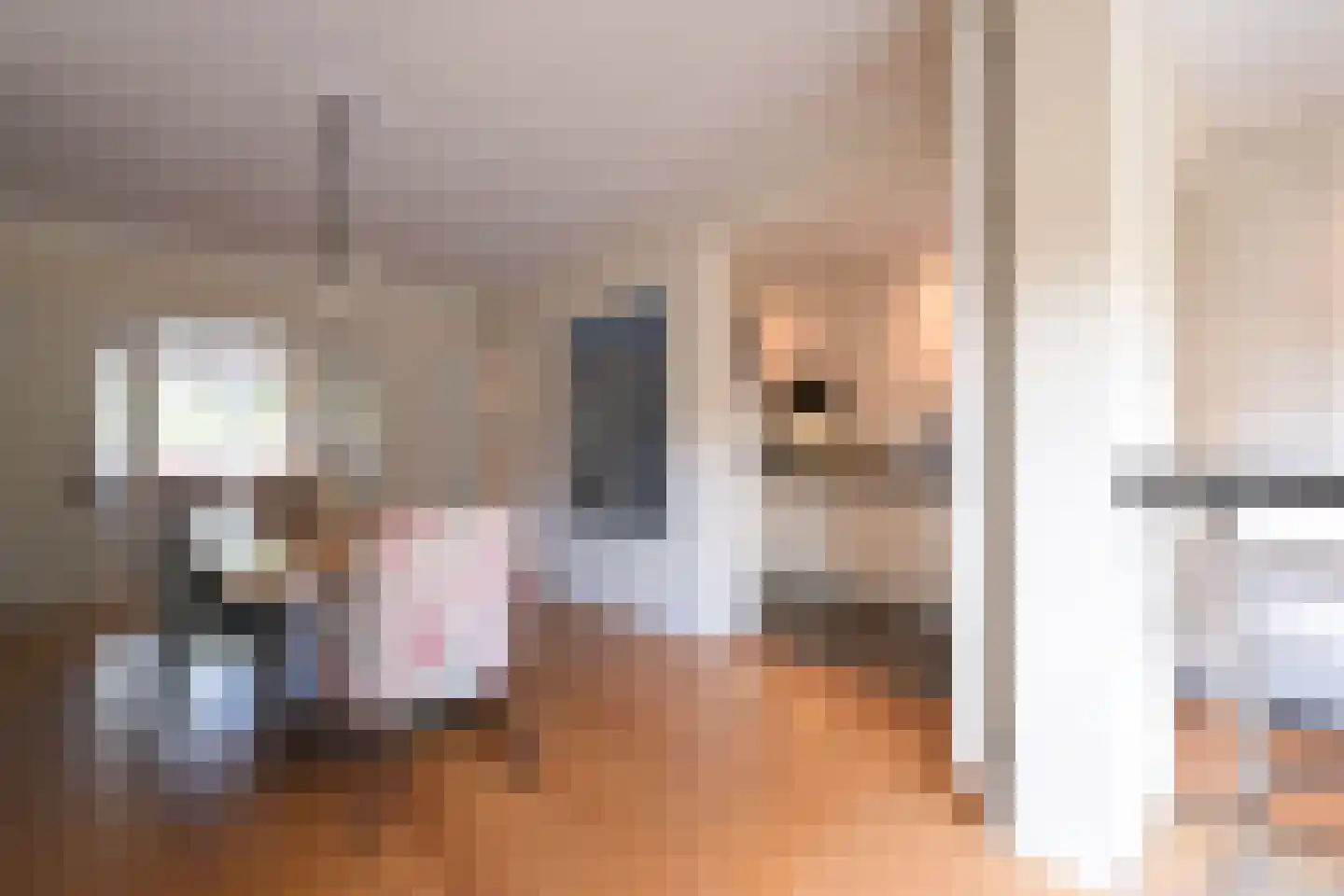 Van Zuylen van Nijeveltstraat 34 Wassenaar thumbnail 9