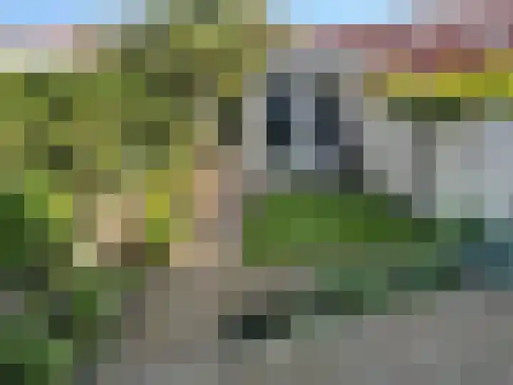 Van Zuylen van Nijeveltstraat 364 Wassenaar thumbnail 4